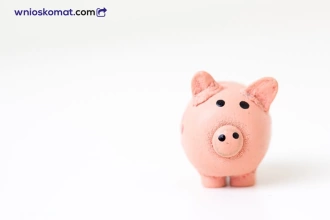 Wszystko, co warto wiedzieć o chwilówkach