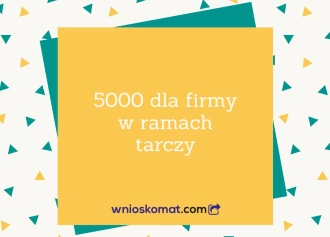 Pożyczka 5000 dla firmy w ramach tarczy. Jakie kryteria należy spełnić?